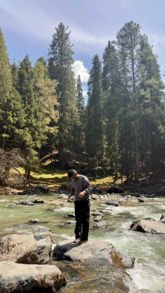 Person standing on rocks in a flowing mountain river surrounded by a dense pine forest. Digital marketing expert in Kannur